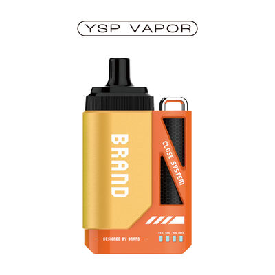 Elektronische Zigarette 6000 Puffs Vape Pod System 10 ml Nachfüllkapsel System