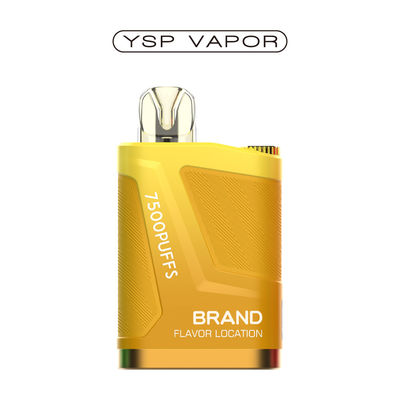 16000 Puffs Einweg-Vape-Pulver 2% Wiederauffüllbarer Nikotin-Vape-Stift