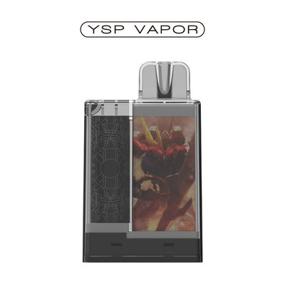 1.2 6000 Ohm Puffs Pod System 10 ml wiederaufladbare Vape Pod-Kits